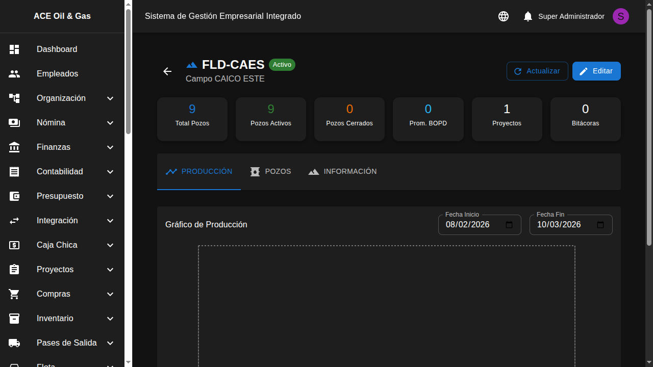 Detalle de campo con pozos asociados
